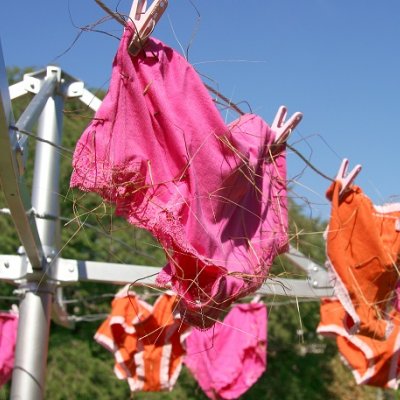 Adrienne Kneebone. As rough as grass undies, 2006/2015. Mixed media installation: Clothes hoist, cotton underwear, Cockatoo Grass seeds (Dicanthium sereciun) and Spear Grass seeds (Sorgum intrans). Reproduced courtesy of the artist.